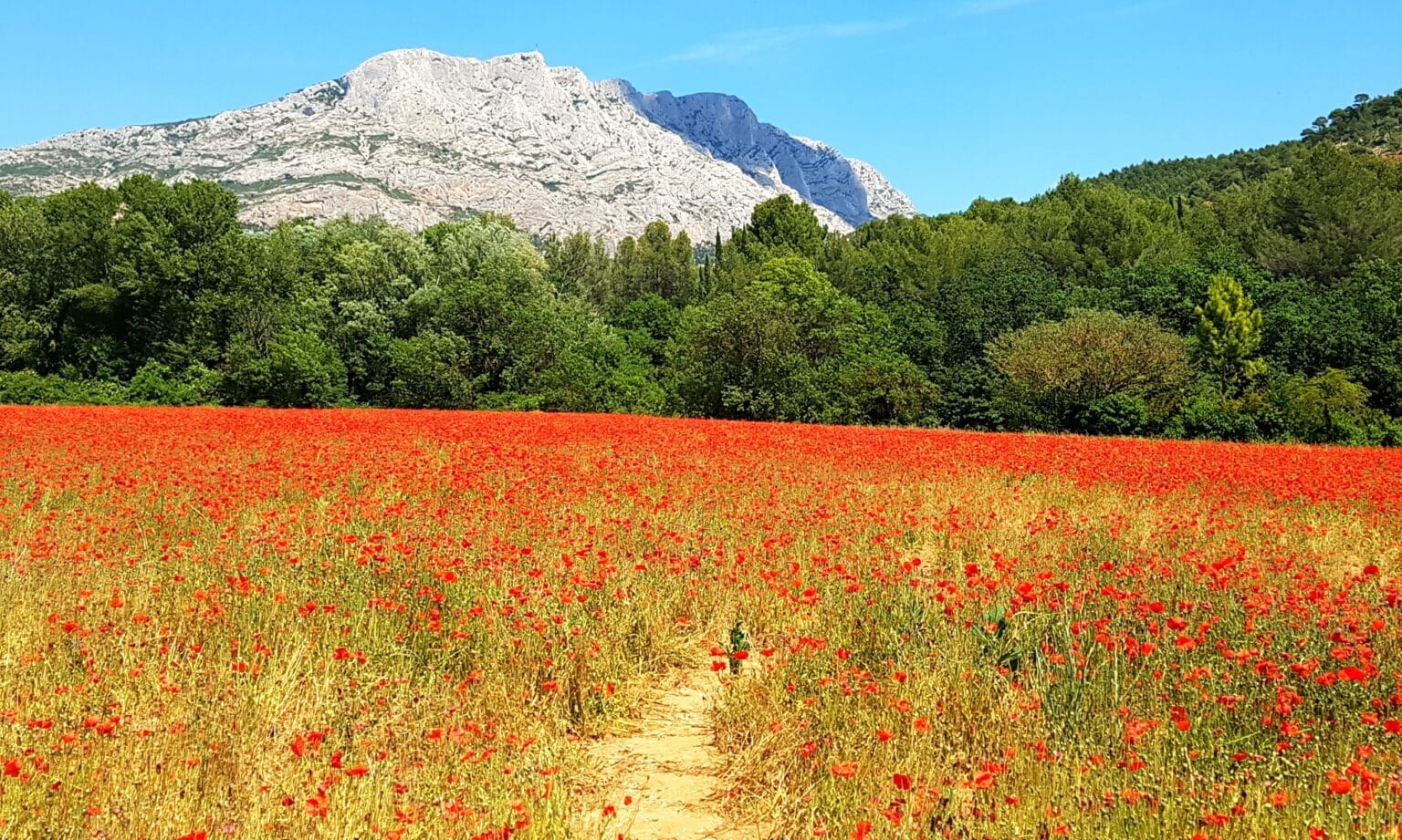 Montagne Sainte Victoire
