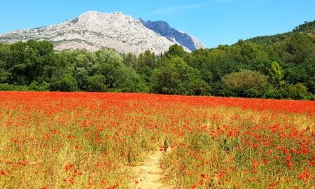 Montagne Sainte Victoire