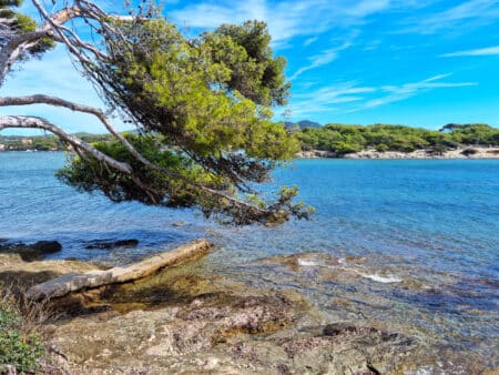 ile des Embiez