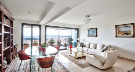 nice vinaigrier viager occupe appartement 3 pieces de 85m residence de standing terrasse de 26m plein sud vue panoramique cave parking 15