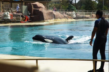 Marineland