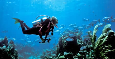 fonds marins océan