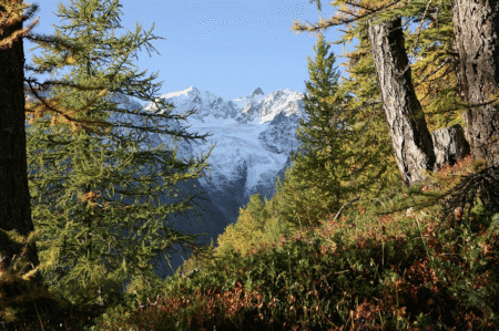 Parc national des Ecrins