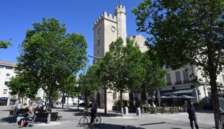 avignon