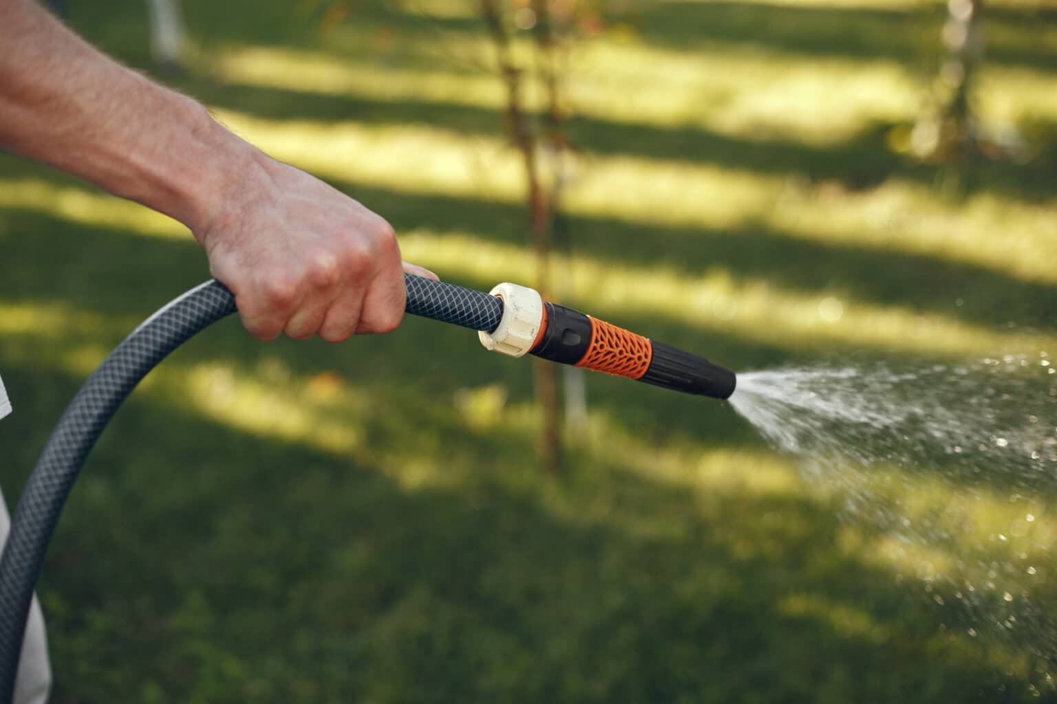 Attention aux restrictions d’eau décidées en région PACA : voici où la sécheresse inquiète en Provence-Alpes-Côte d’Azur l homme arrose ses plantes dans son jardin homme en chemise bleue