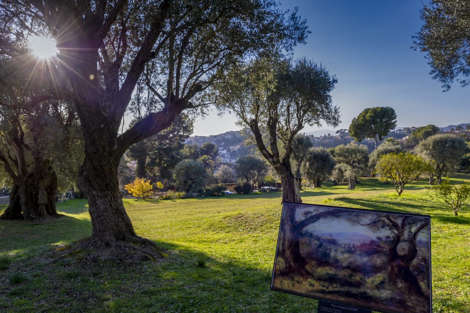 cagnes renoir