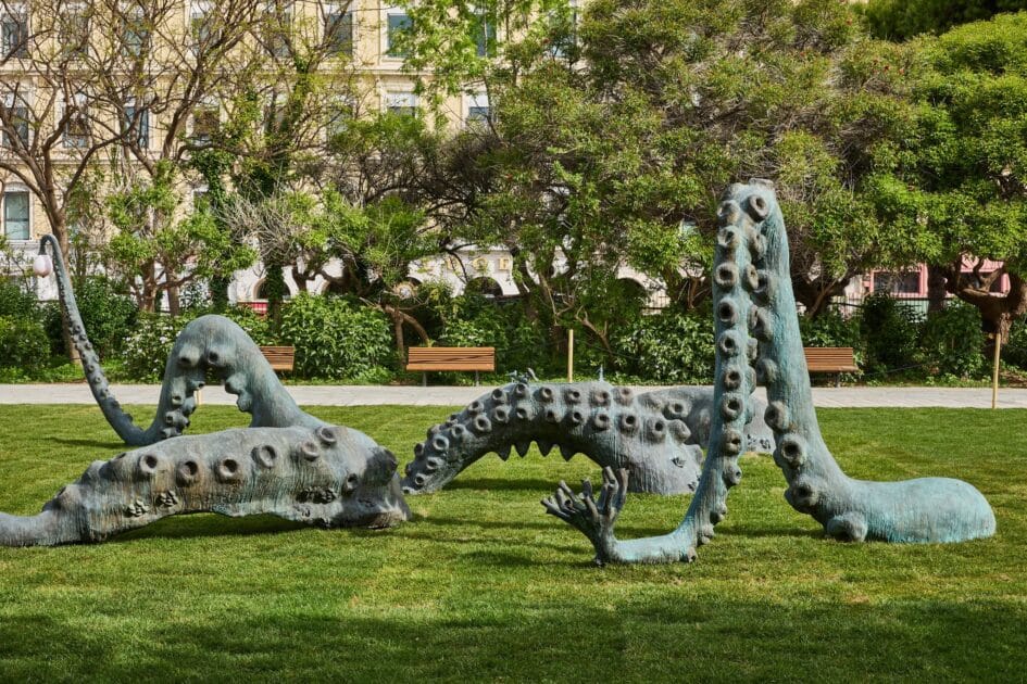 525658548 1260412682548153 5695722210140000622 n