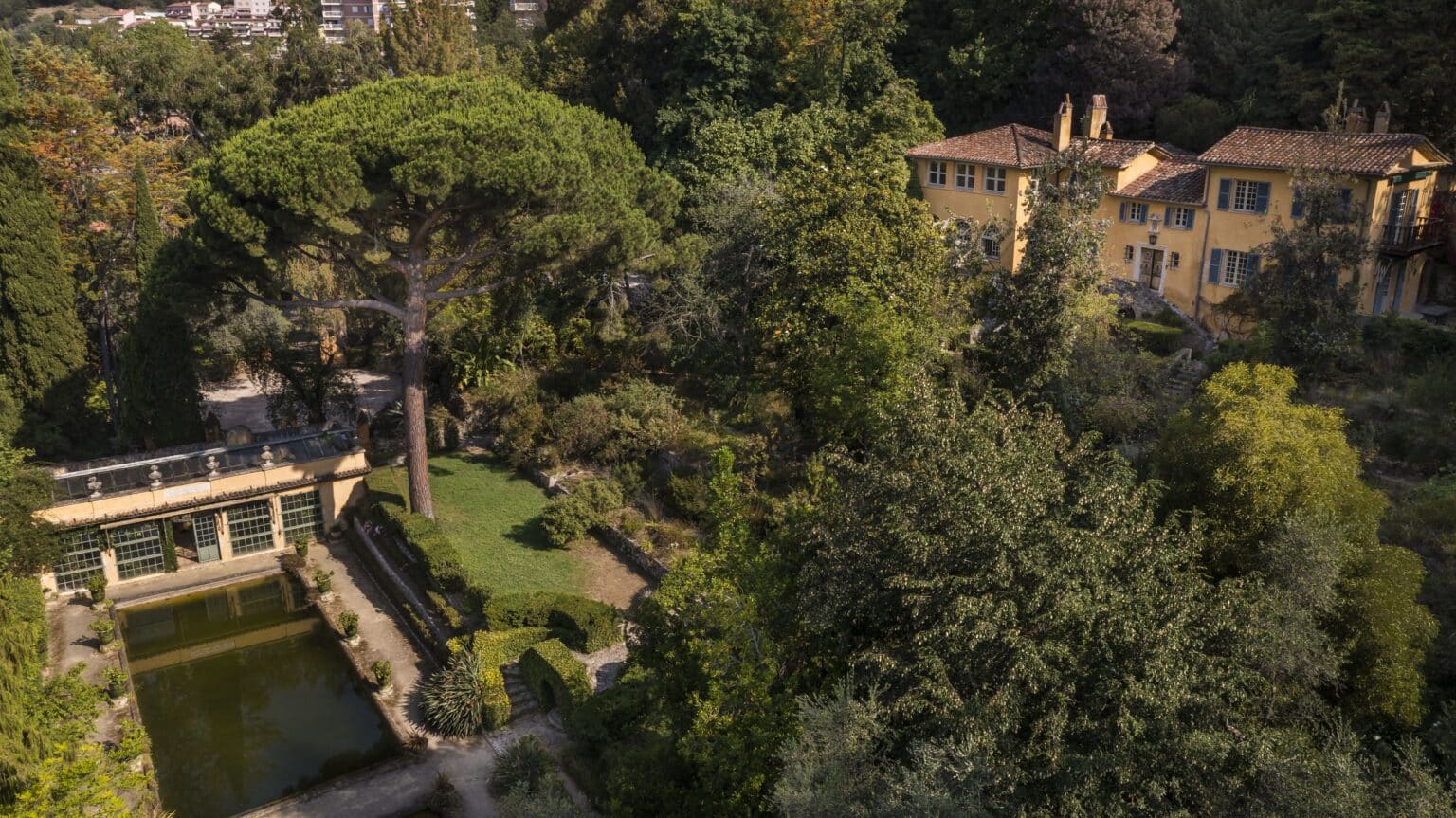 Le jardin Serre de la Madone à Menton sauvé ? 3 millions d’euros pour réveiller l’un des trésors secrets et émouvants de la Côte d’Azur afp serre madone menton