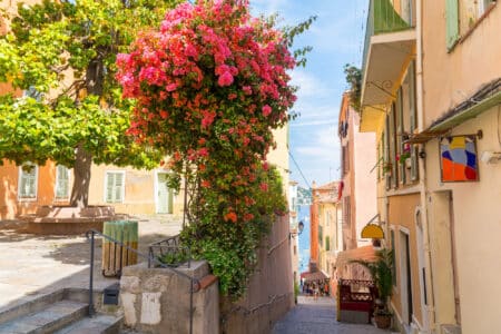 fleurs ruelles nice cote d azur