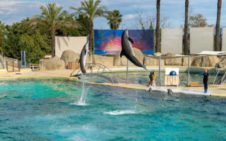 Marineland