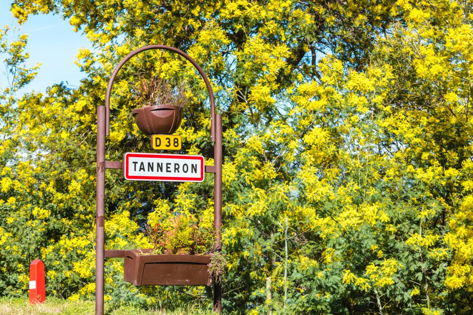Tanneron