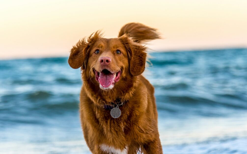 oscar sutton yihlaRCCvd4 unsplash