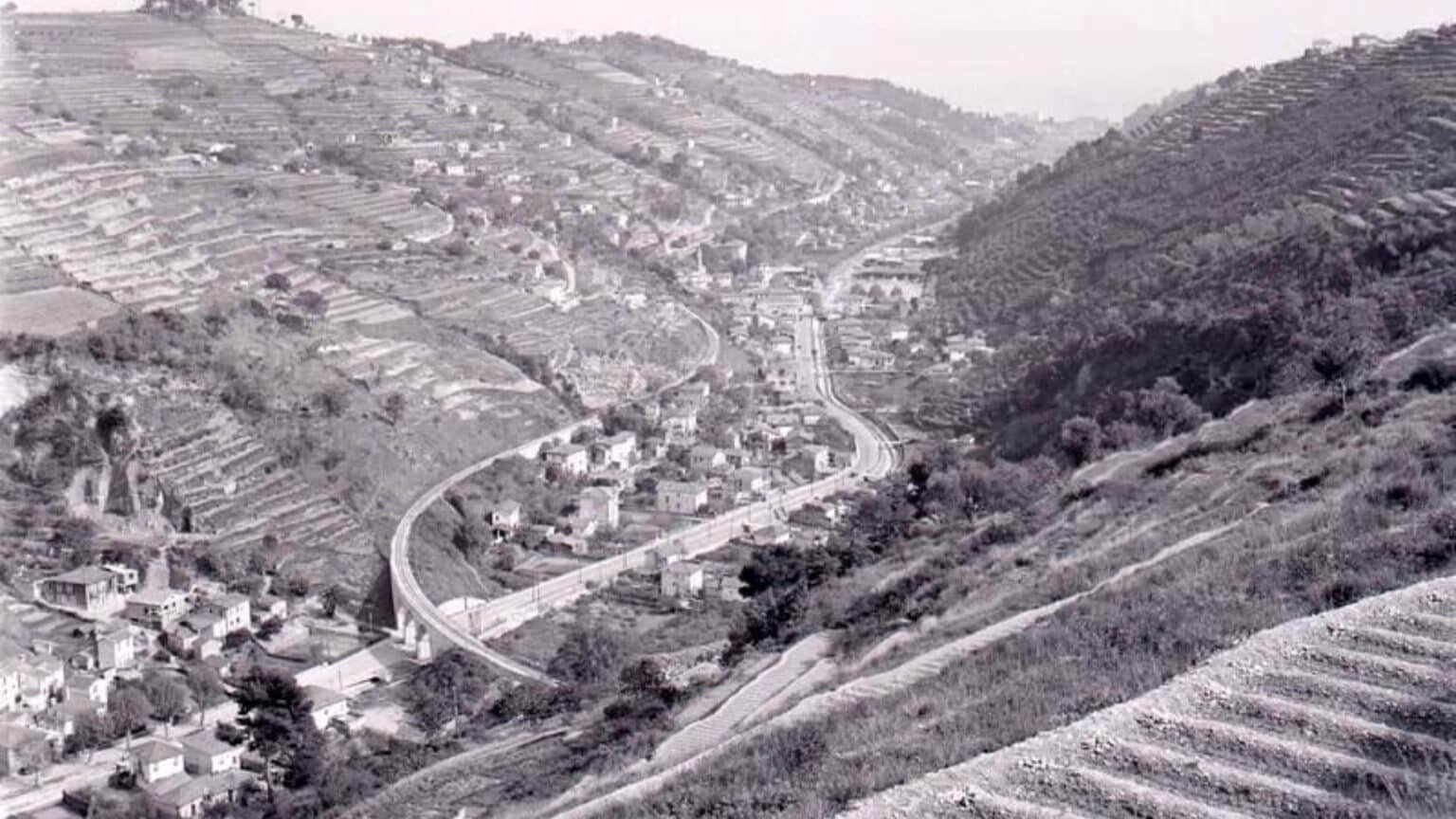 Né de son vallon, dompté par son fleuve, forgé par ses usines… (Re)découvrez la riche histoire de ce quartier mythique de Nice ! 1 3
