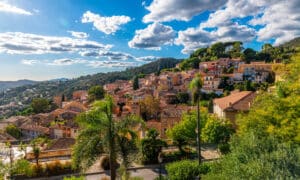 Bormes les Mimosas