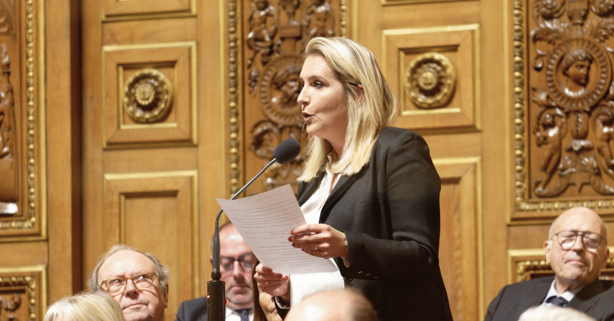 Alexandra Borchio Fontimp