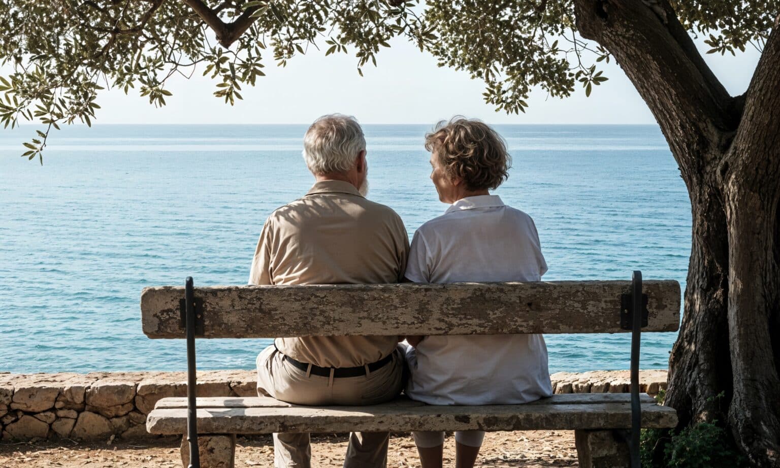 un couple profitant de la vue sur la mer depuis un banc sous un arbre