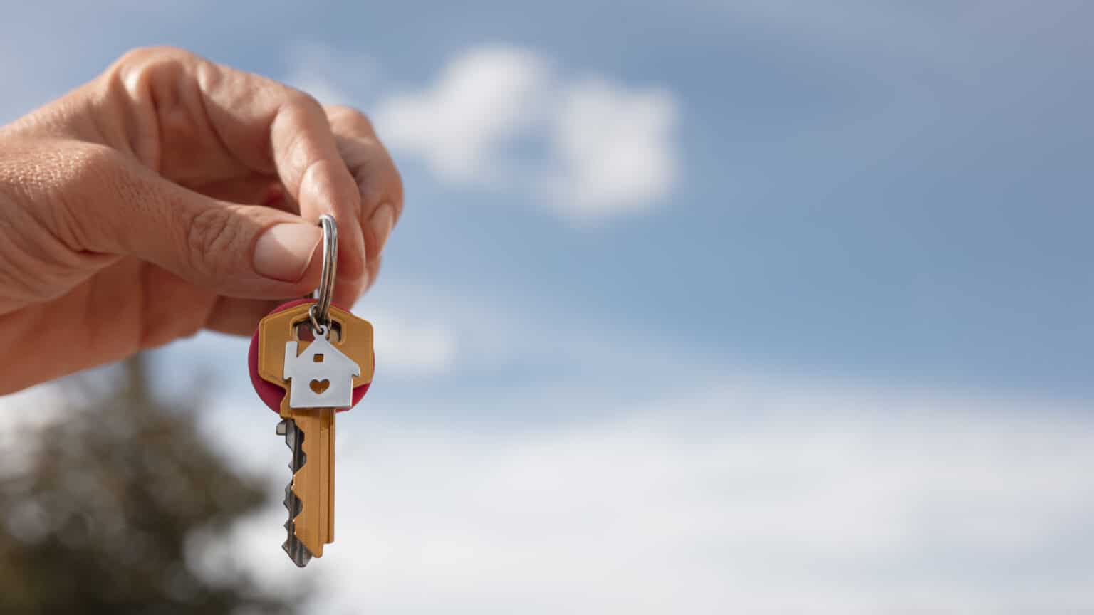 cles immobilier 20