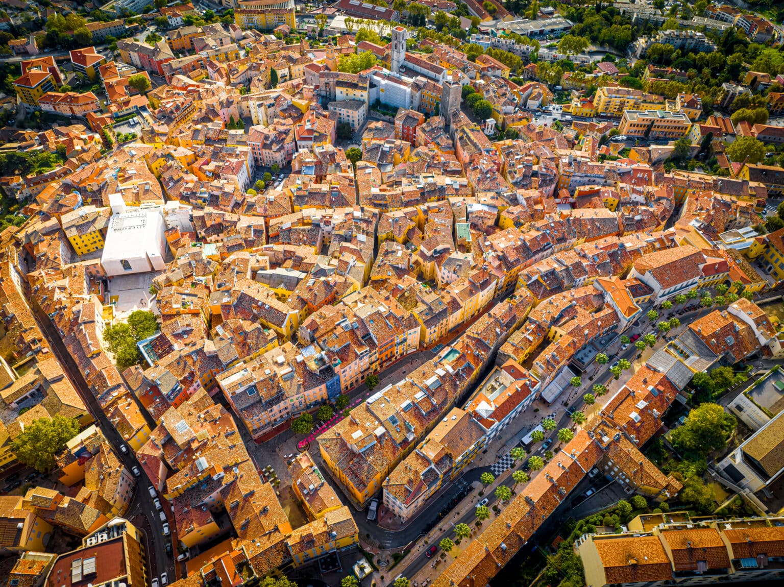 grasse 30