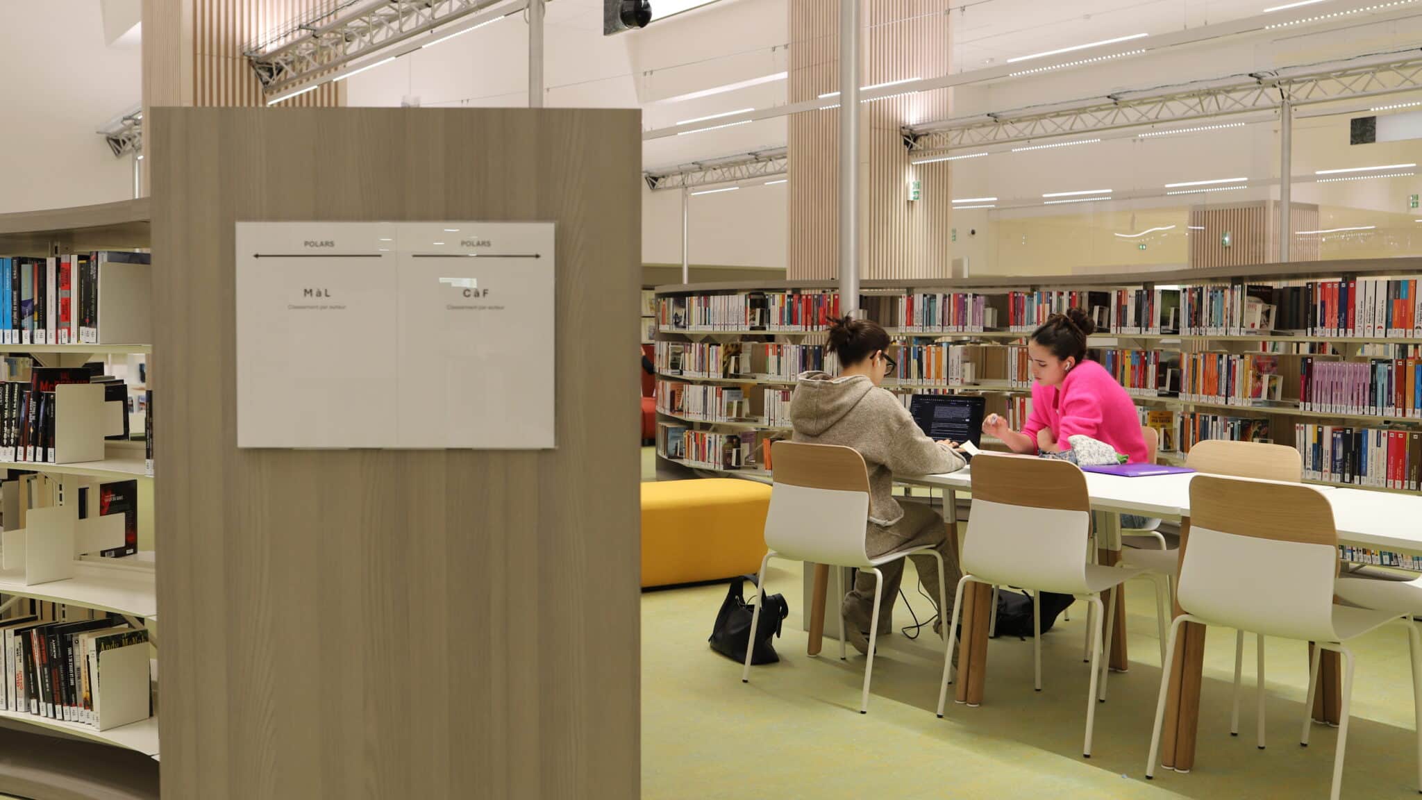 IMG 8848 edited scaled