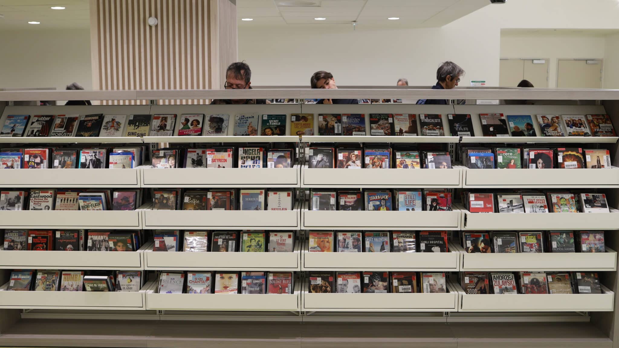 IMG 8857 edited scaled