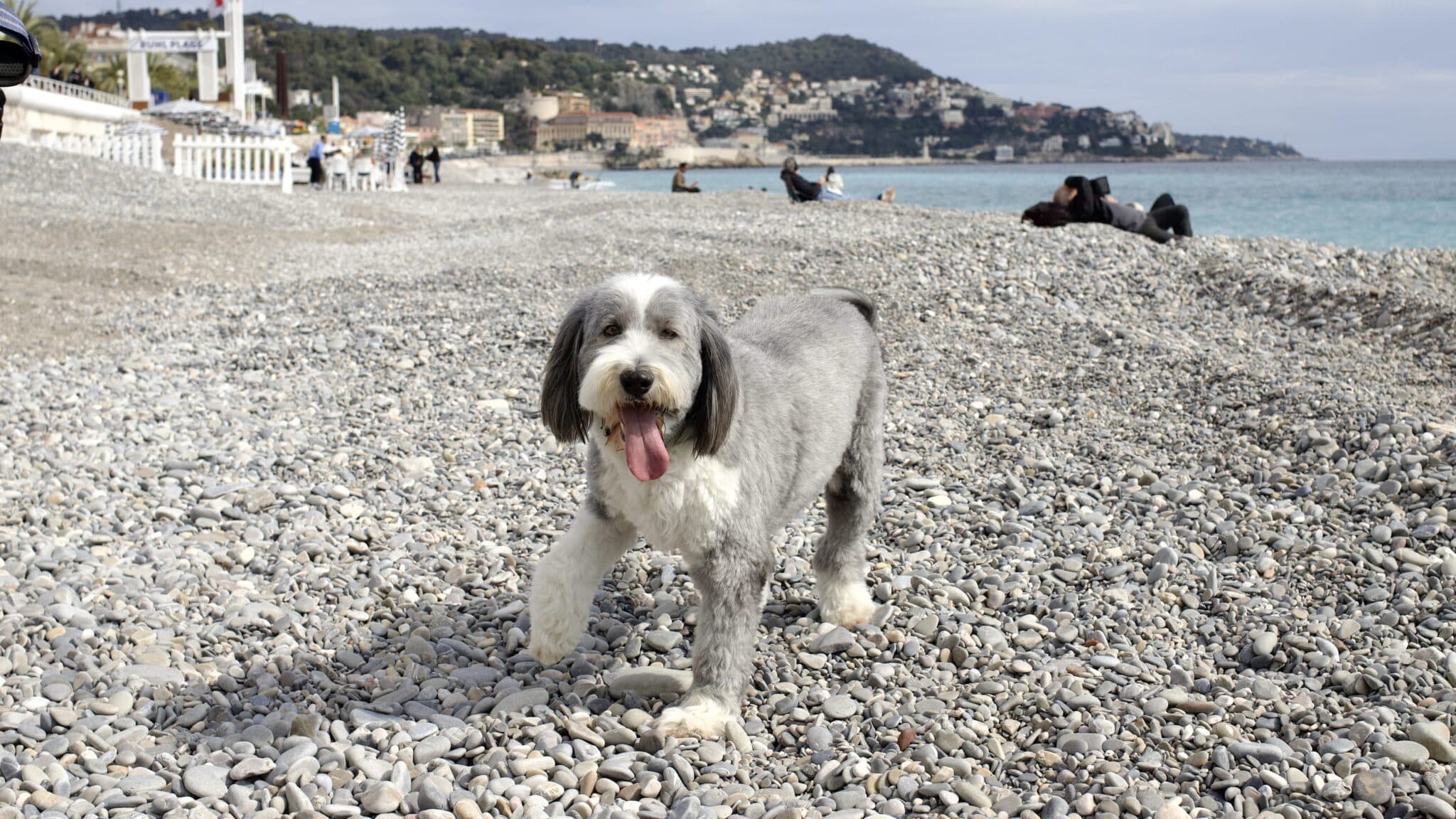 IMG 0843 edited scaled