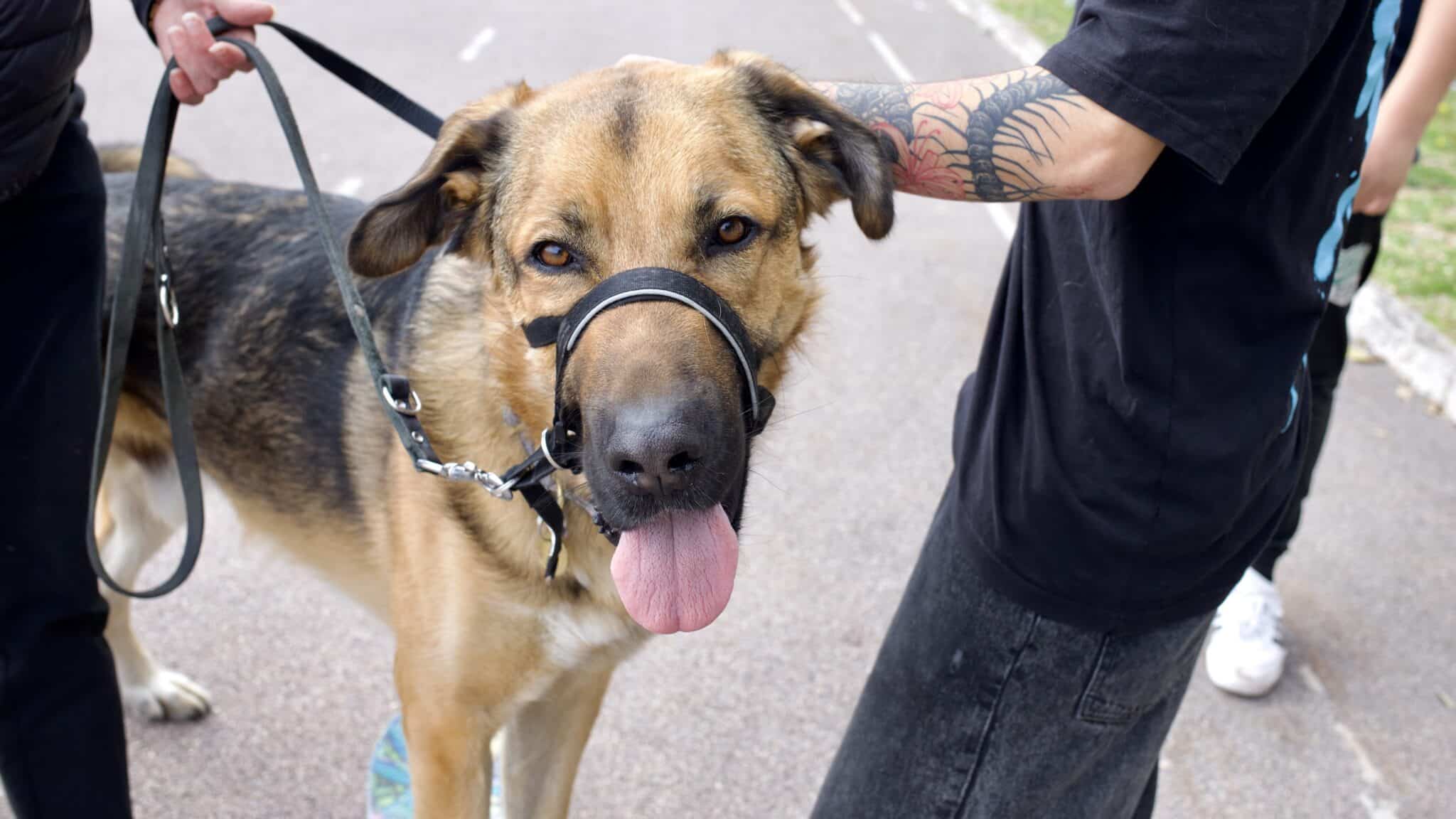 IMG 0848 edited 1 scaled