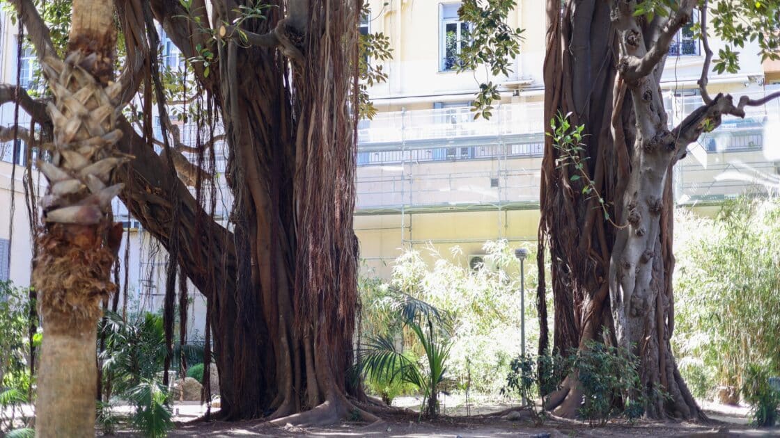 Mini-golf, salle de danse, lustres géants... À Menton, nos anecdotes méconnues sur cet ancien palace de la Belle Époque ! 4 4 5