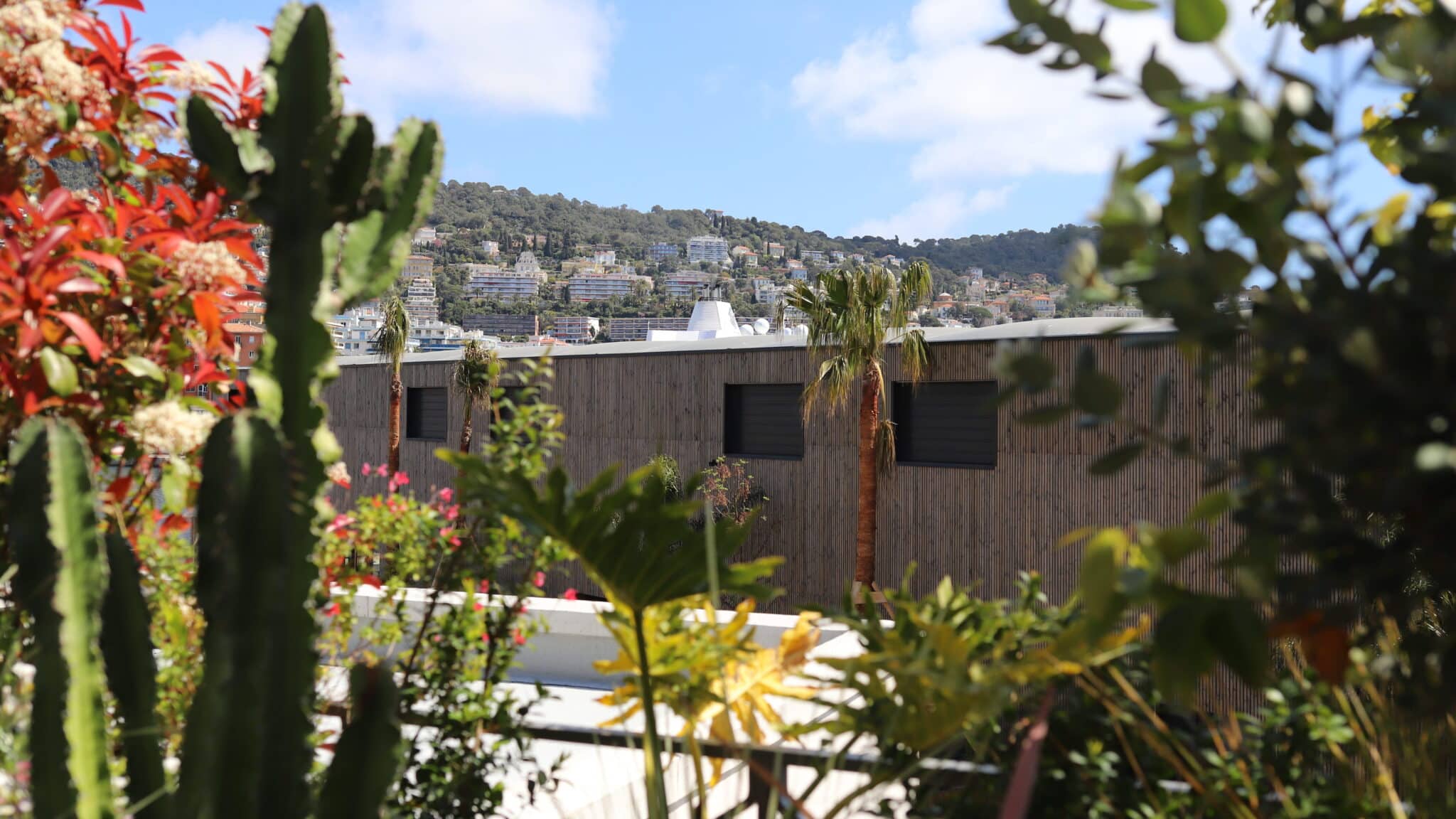 IMG 9065 edited scaled