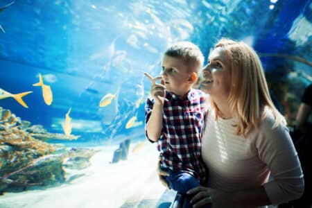 aquarium