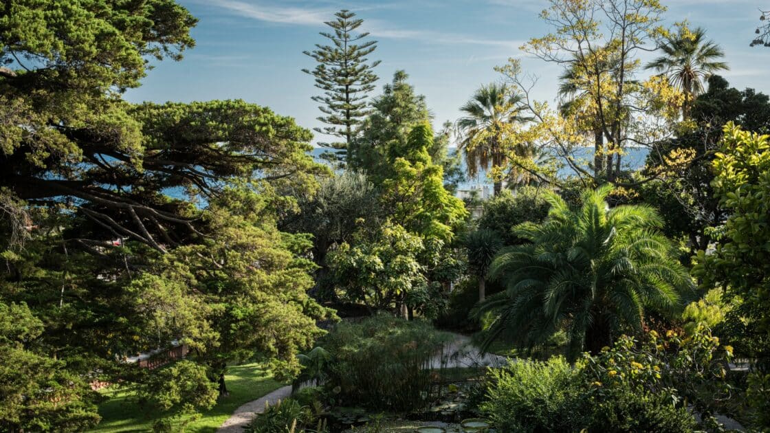 À Menton, ce spectaculaire jardin botanique vous transporte sous les tropiques avec près de 1 800 espèces rares 3 jardin Val Rahmeh vue générale de la nature