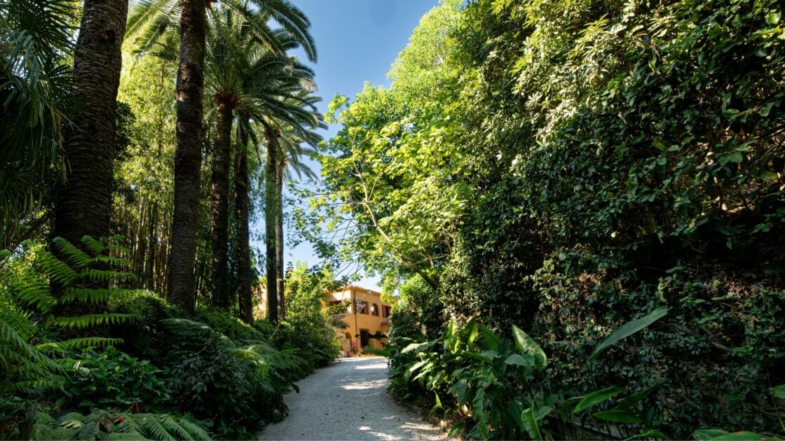À Menton, ce spectaculaire jardin botanique vous transporte sous les tropiques avec près de 1 800 espèces rares 5 allée arborée du jardin Val Rahmeh menton