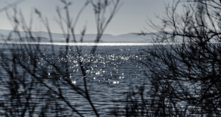 Plan Grand Angle Etang Berre Reflétant Lumière Soleil Travers Les Buissons Sans Feuilles Supprimer l’arrière-plan Enregistrer Partager Échantillon Un plan grand angle d'Etang de Berre reflétant la lumière du soleil