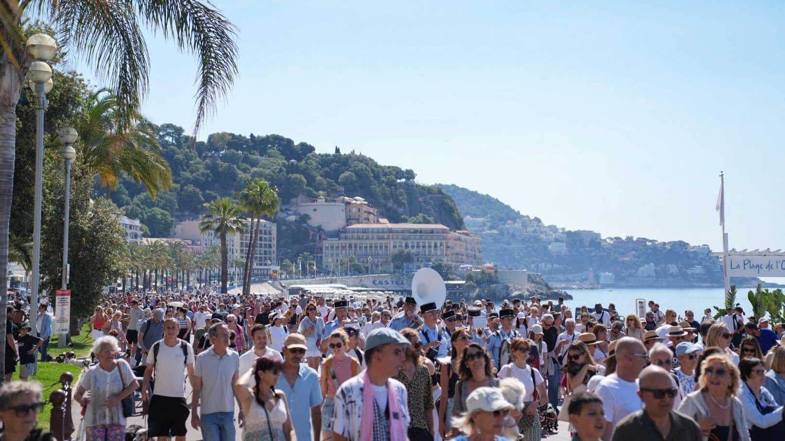 vue de la Ve marche des animaux à Nice