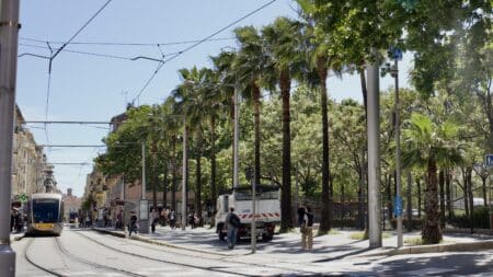 vue générale de la place de l'armée du rhin avec ses palmiers