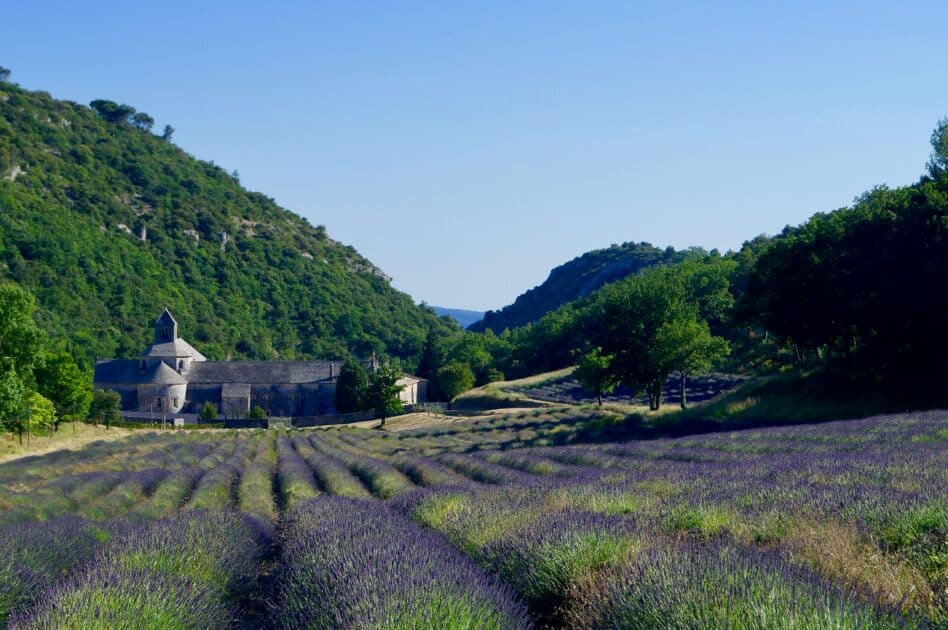 belle vue de l'abbaye de sénanque depuis les champs de lavande