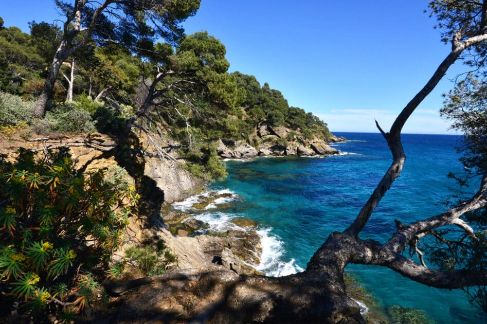 L’image actuelle n’a pas de texte alternatif. Le nom du fichier est&nbsp;: domaine-du-Rayol-var.jpg
