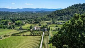 Vue aerienne de Menerbes