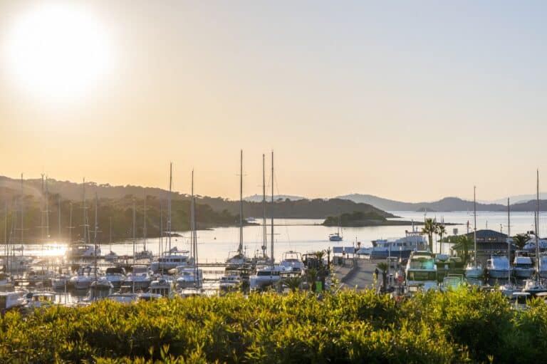 Var. Au large d’Hyères, ce « paradis des randonneurs » interdit aux véhicules abrite des centaines d’hectares d’une nature totalement insoumise pour cet été 2026 Vue du Parc National de Port Cros SPIEKERMEIER francoise Hemis.f hemis.fr Hemis via AFP